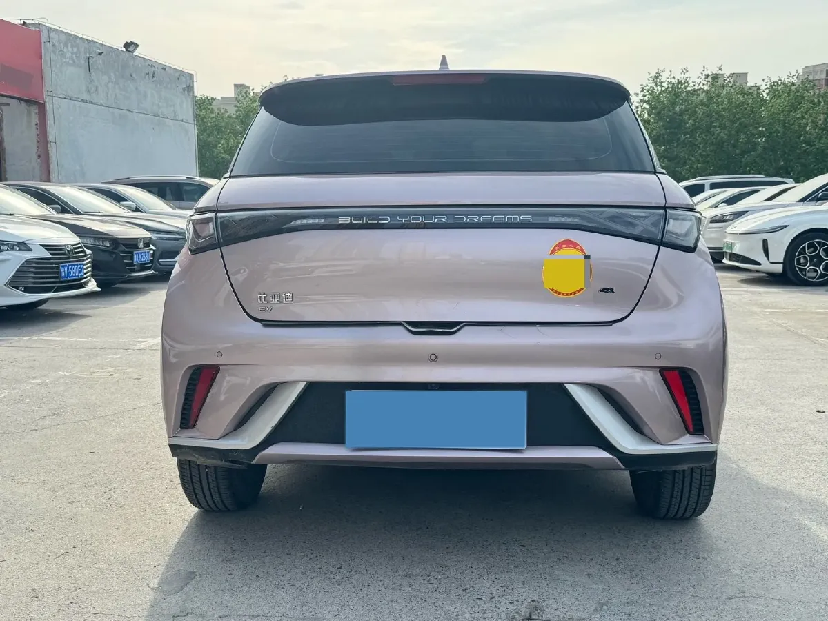 2021 BYD Yuan Pro BEV 50.1KWH,autocango,china used car exporter,china ev exporter,chinese used car exporter,chinese used ev exporter