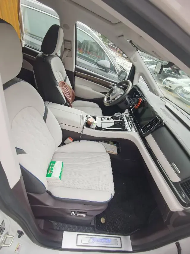 2021 GAC Trumpchi M8 2.0T 252HP L4 8AT,autocango,china used car exporter,china ev exporter,chinese used car exporter,chinese used ev exporter