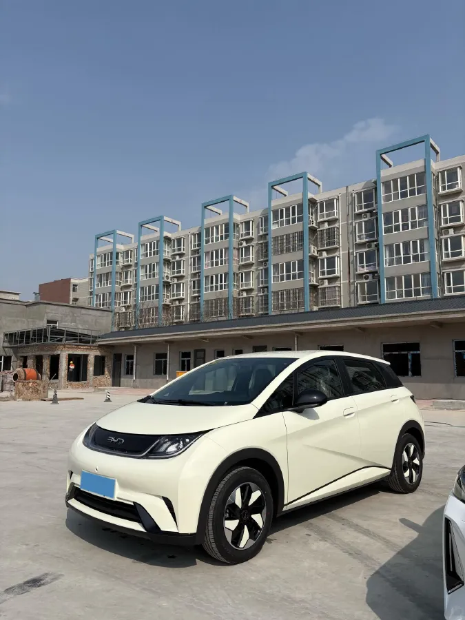 2025 BYD Dolphin BEV 44.928KWH,autocango,china used car exporter,china ev exporter,chinese used car exporter,chinese used ev exporter