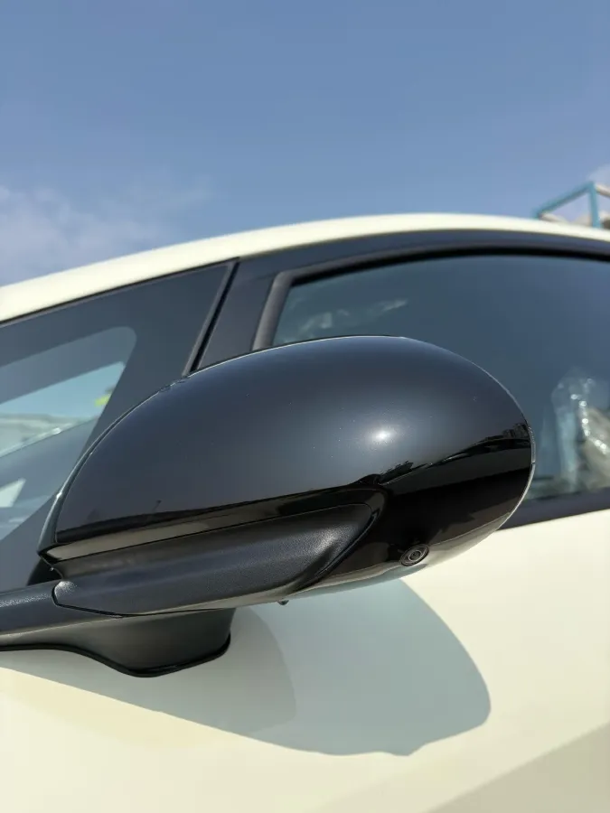 2025 BYD Dolphin BEV 44.928KWH,autocango,china used car exporter,china ev exporter,chinese used car exporter,chinese used ev exporter