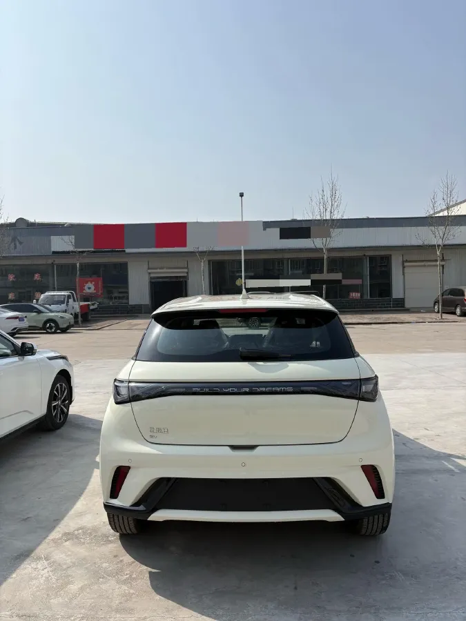 2025 BYD Dolphin BEV 44.928KWH,autocango,china used car exporter,china ev exporter,chinese used car exporter,chinese used ev exporter