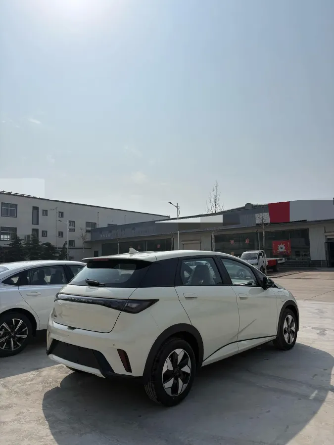 2025 BYD Dolphin BEV 44.928KWH,autocango,china used car exporter,china ev exporter,chinese used car exporter,chinese used ev exporter