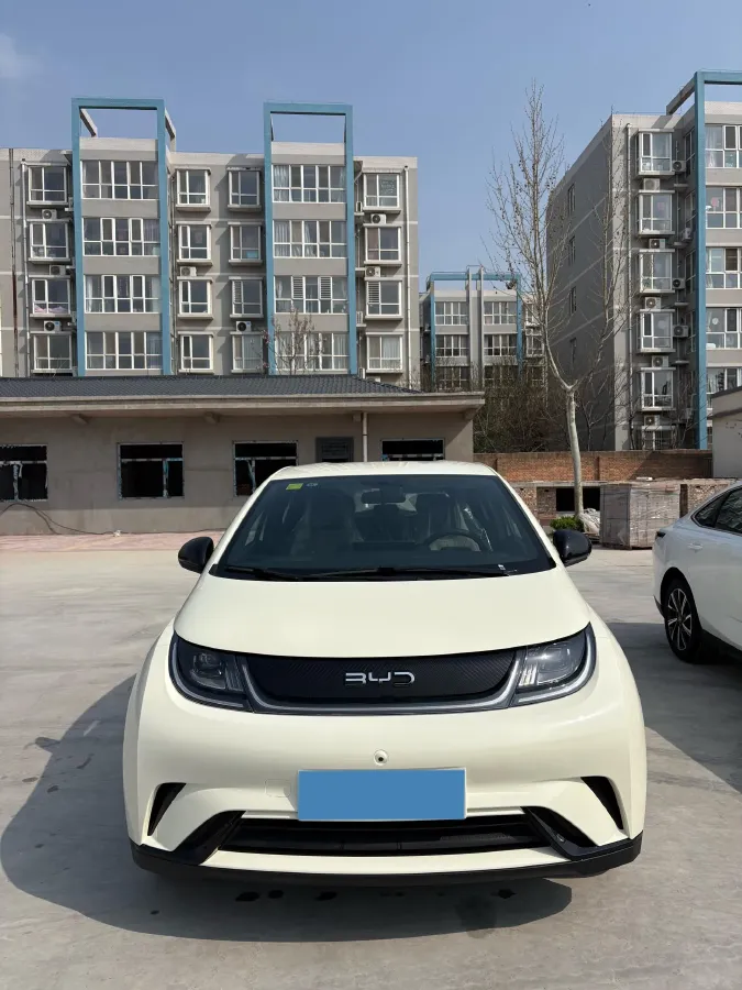 2025 BYD Dolphin BEV 44.928KWH,autocango,china used car exporter,china ev exporter,chinese used car exporter,chinese used ev exporter