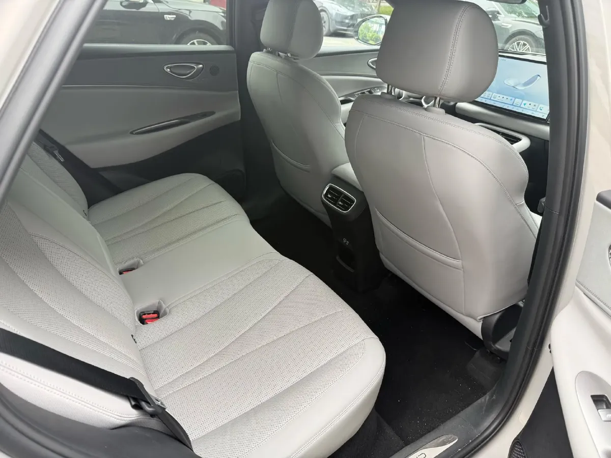 2025 LanDian E5 PLUS 1.5L 95HP L4 E-CVT PHEV,autocango,china used car exporter,china ev exporter,chinese used car exporter,chinese used ev exporter