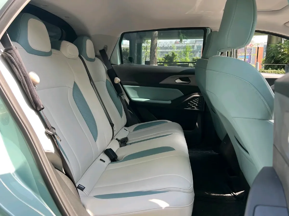 2024 Geometry E BEV 29.67KWH,autocango,china used car exporter,china ev exporter,chinese used car exporter,chinese used ev exporter