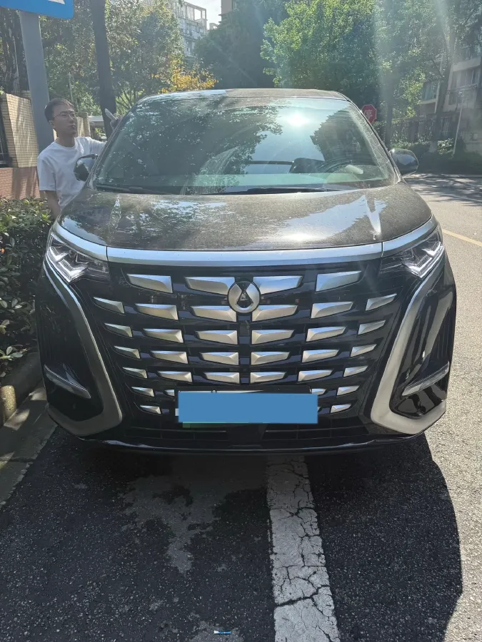 2024 Denza D9 1.5T 139HP L4 E-CVT PHEV 40KWH,autocango,china used car exporter,china ev exporter,chinese used car exporter,chinese used ev exporter