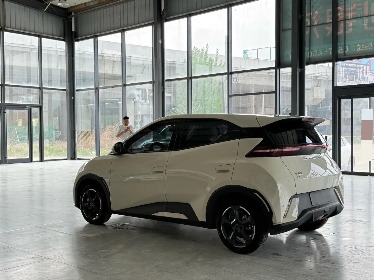 2024 BYD Seagull BEV 30.08KWH,autocango,china used car exporter,china ev exporter,chinese used car exporter,chinese used ev exporter