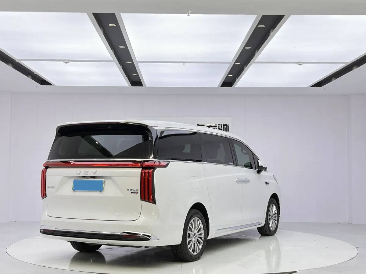 2025 WEY HighMountain 1.5T 170HP L4 4DHT PHEV,autocango,china used car exporter,china ev exporter,chinese used car exporter,chinese used ev exporter