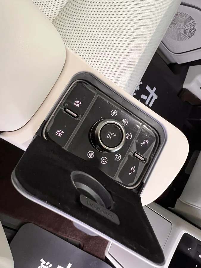 2025 WEY HighMountain 1.5T 170HP L4 4DHT PHEV,autocango,china used car exporter,china ev exporter,chinese used car exporter,chinese used ev exporter