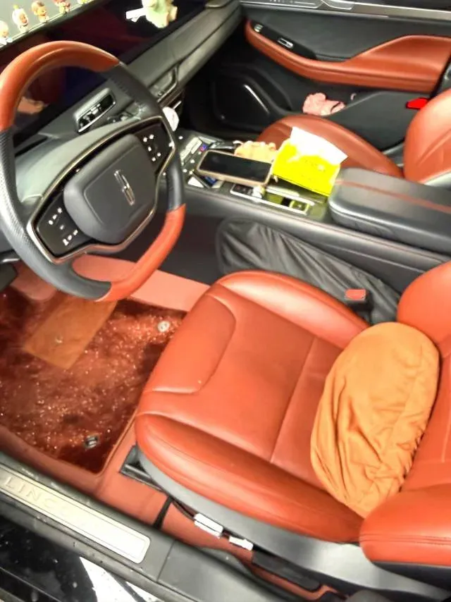 2022 Lincoln Z 2.0T 246HP L4 8AT,autocango,china used car exporter,china ev exporter,chinese used car exporter,chinese used ev exporter