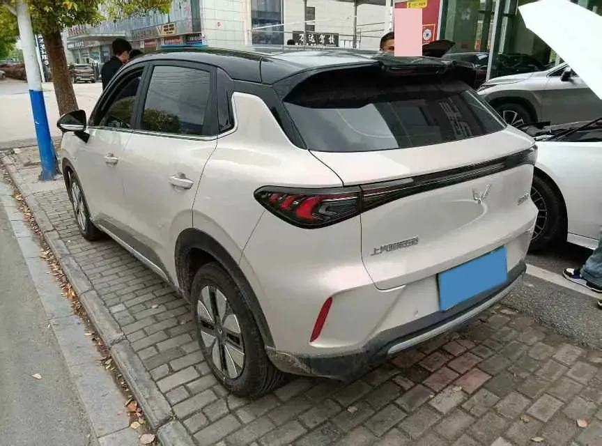 2025 WuLing BinGuo BEV,autocango,china used car exporter,china ev exporter,chinese used car exporter,chinese used ev exporter