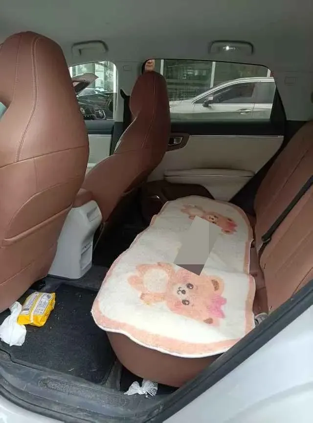 2025 WuLing BinGuo BEV,autocango,china used car exporter,china ev exporter,chinese used car exporter,chinese used ev exporter