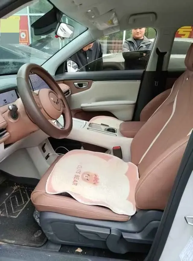 2025 WuLing BinGuo BEV,autocango,china used car exporter,china ev exporter,chinese used car exporter,chinese used ev exporter