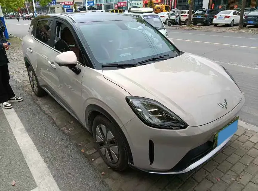 2025 WuLing BinGuo BEV,autocango,china used car exporter,china ev exporter,chinese used car exporter,chinese used ev exporter