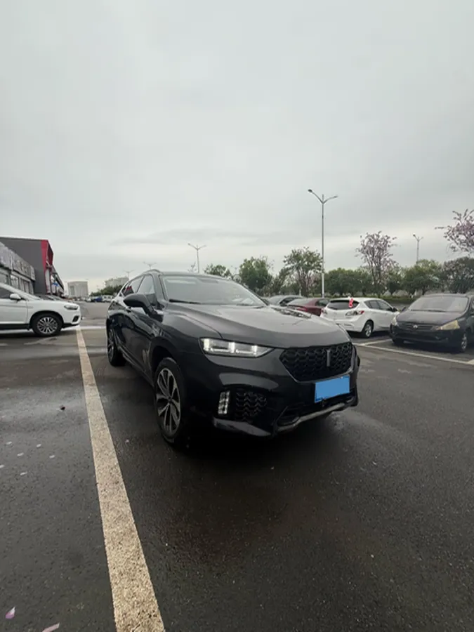 2017 WEY VV7 2.0T 234HP L4 7DCT,autocango,china used car exporter,china ev exporter,chinese used car exporter,chinese used ev exporter