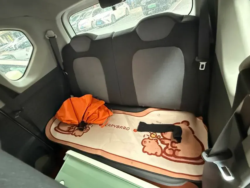 2020 WuLing HongGuang MINI EV BEV 13.8KWH,autocango,china used car exporter,china ev exporter,chinese used car exporter,chinese used ev exporter