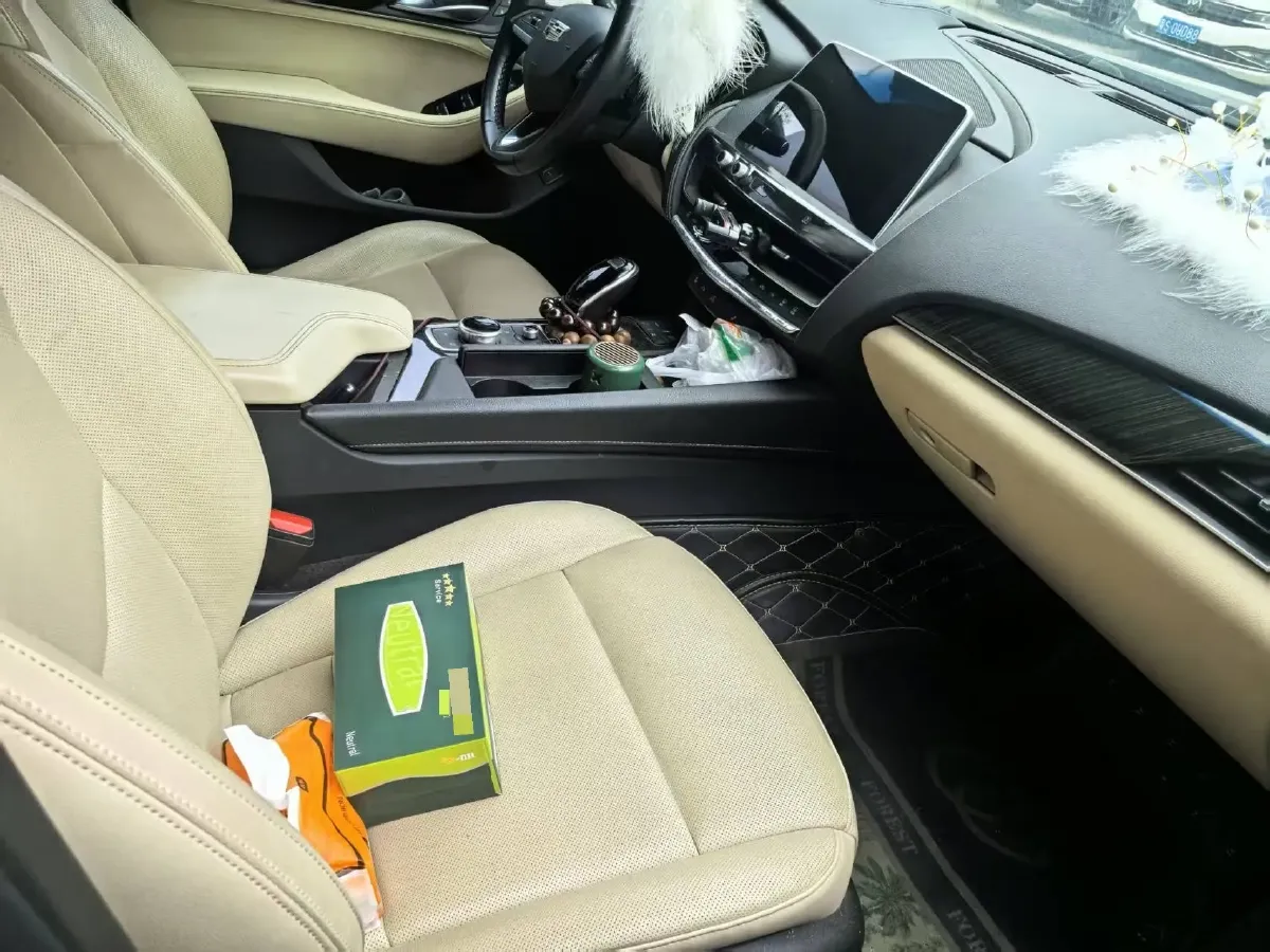 2020 Cadillac CT5 2.0T 237HP L4 10AT,autocango,china used car exporter,china ev exporter,chinese used car exporter,chinese used ev exporter