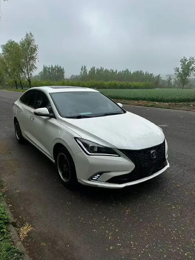 2019 ChangAn Eado 1.4T 158HP L4 7DCT,autocango,china used car exporter,china ev exporter,chinese used car exporter,chinese used ev exporter