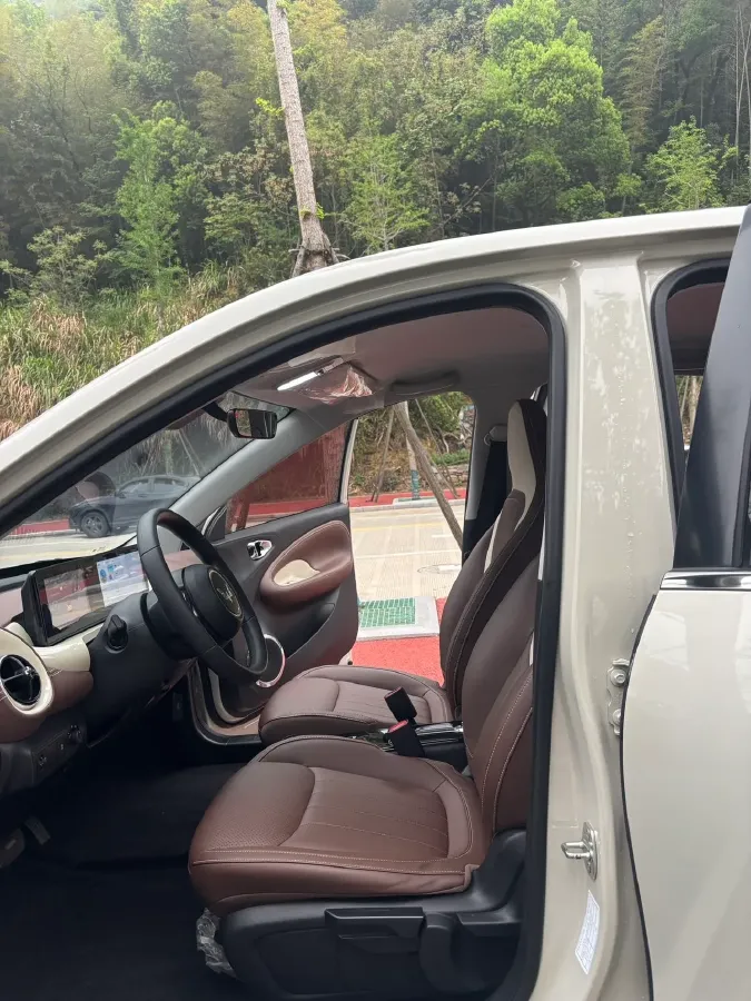 2023 WuLing BinGuo BEV 31.9KWH,autocango,china used car exporter,china ev exporter,chinese used car exporter,chinese used ev exporter