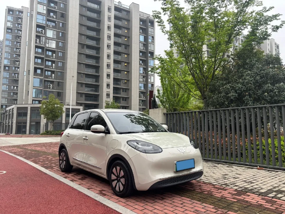 2023 WuLing BinGuo BEV 31.9KWH,autocango,china used car exporter,china ev exporter,chinese used car exporter,chinese used ev exporter