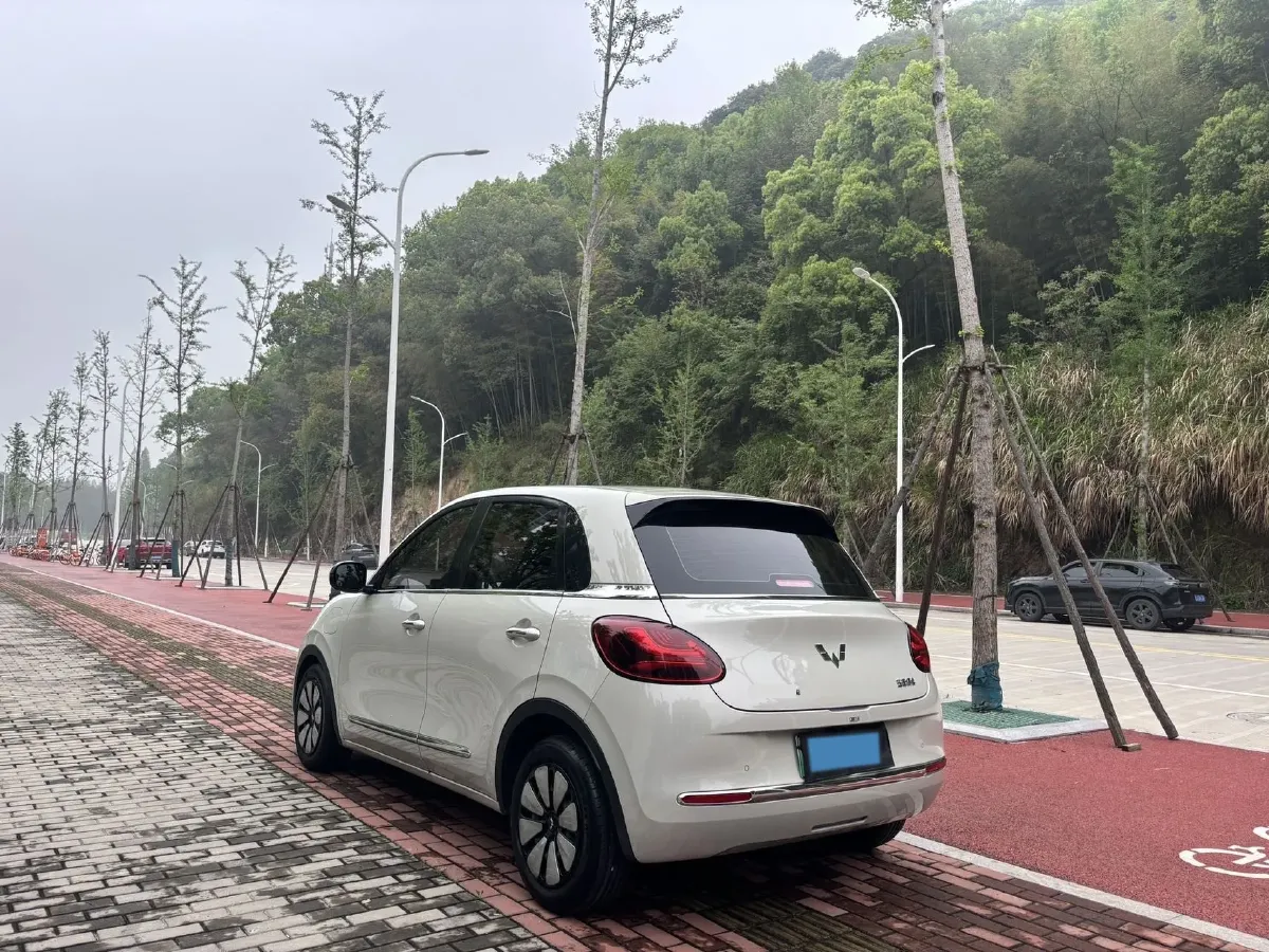 2023 WuLing BinGuo BEV 31.9KWH,autocango,china used car exporter,china ev exporter,chinese used car exporter,chinese used ev exporter