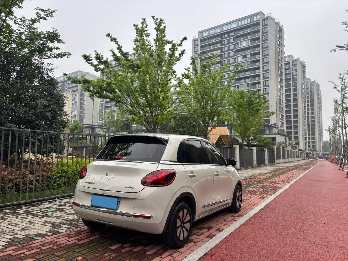 2023 WuLing BinGuo BEV 31.9KWH,autocango,china used car exporter,china ev exporter,chinese used car exporter,chinese used ev exporter
