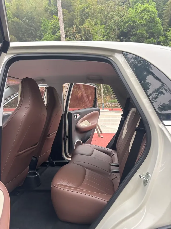 2023 WuLing BinGuo BEV 31.9KWH,autocango,china used car exporter,china ev exporter,chinese used car exporter,chinese used ev exporter