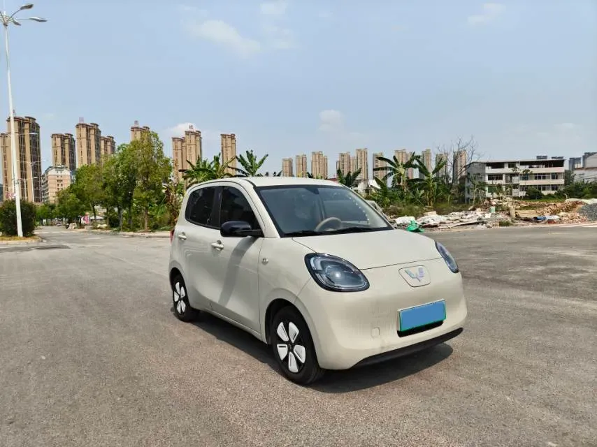 2025 WuLing HongGuang MINI EV BEV 16.2KWH,autocango,china used car exporter,china ev exporter,chinese used car exporter,chinese used ev exporter