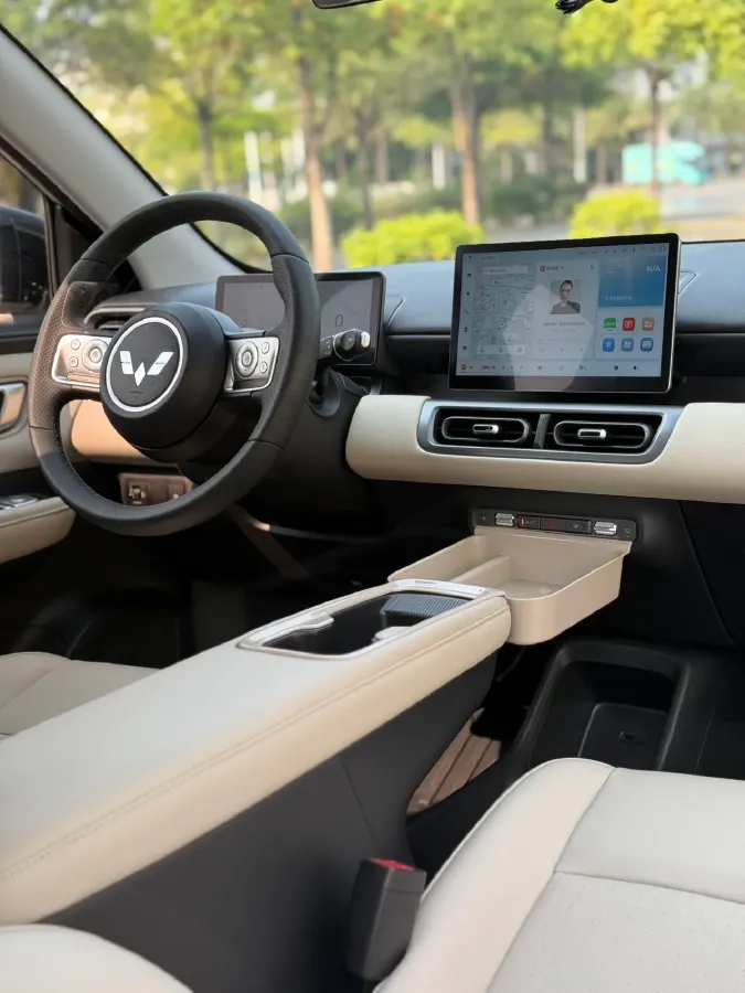 2024 WuLing BinGuoPLUS BEV 31.9KWH,autocango,china used car exporter,china ev exporter,chinese used car exporter,chinese used ev exporter