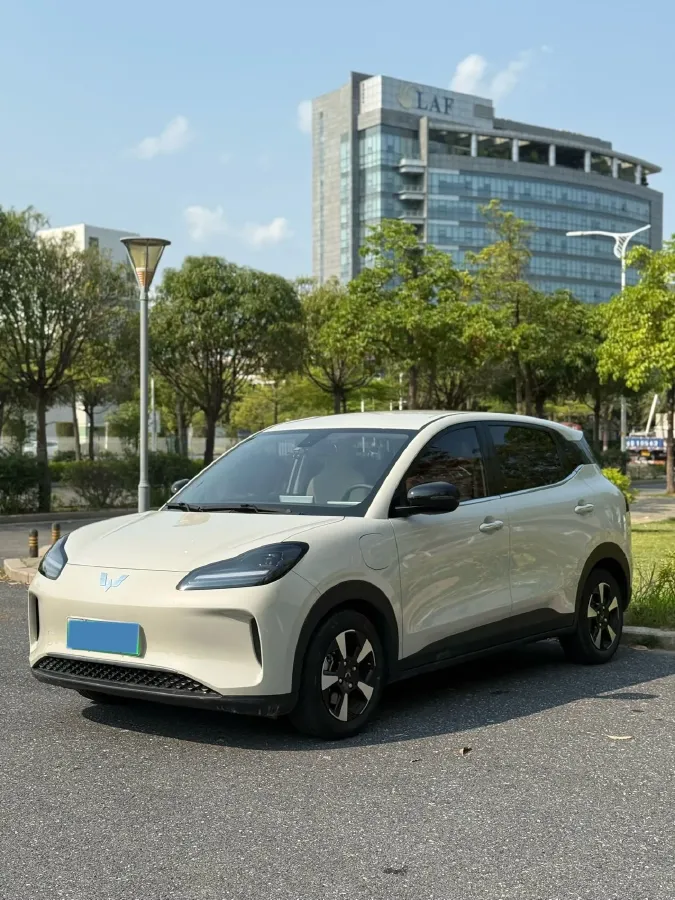 2024 WuLing BinGuoPLUS BEV 31.9KWH,autocango,china used car exporter,china ev exporter,chinese used car exporter,chinese used ev exporter