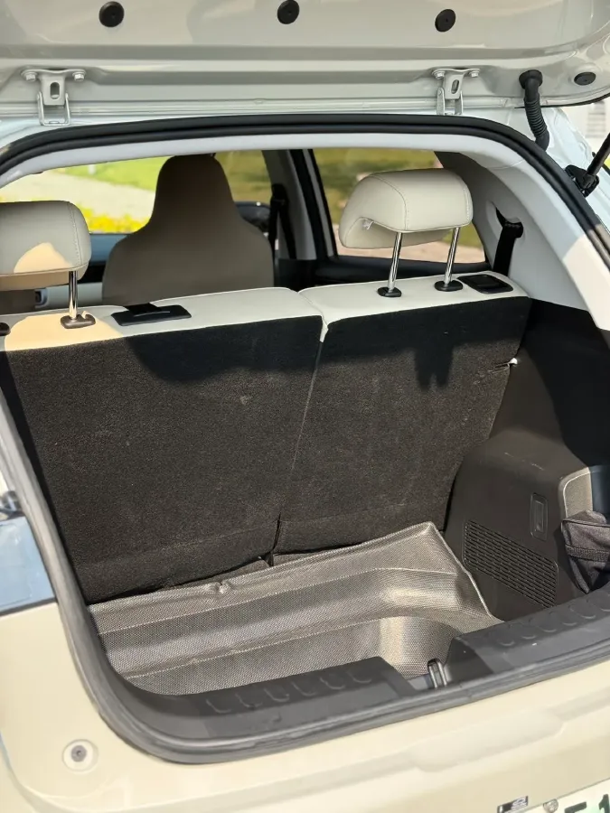 2024 WuLing BinGuoPLUS BEV 31.9KWH,autocango,china used car exporter,china ev exporter,chinese used car exporter,chinese used ev exporter