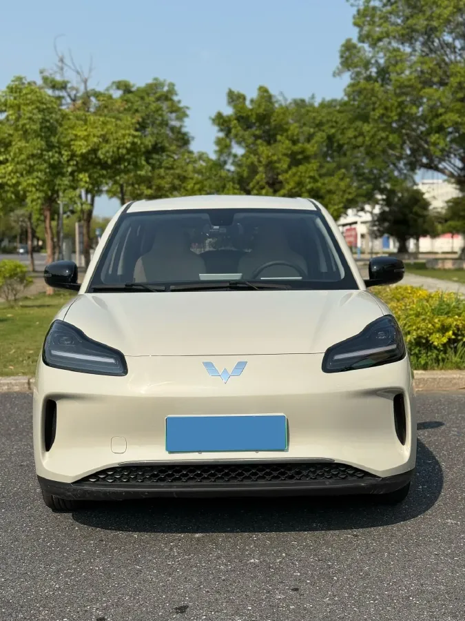 2024 WuLing BinGuoPLUS BEV 31.9KWH,autocango,china used car exporter,china ev exporter,chinese used car exporter,chinese used ev exporter