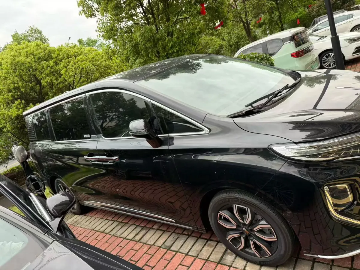 2023 HongQi HQ9 2.0T 252HP L4 8AT,autocango,china used car exporter,china ev exporter,chinese used car exporter,chinese used ev exporter