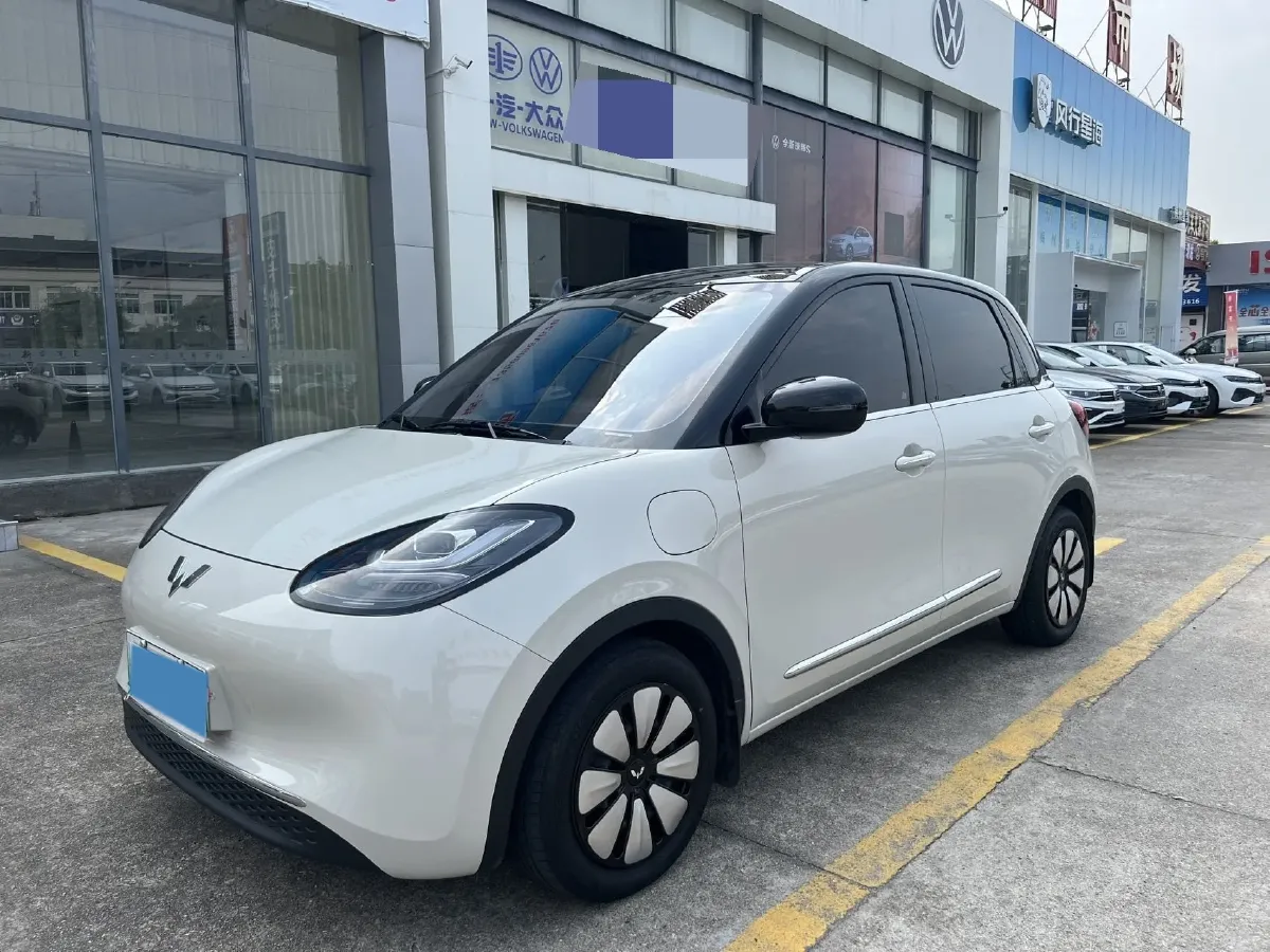 2024 WuLing BinGuo BEV 31.9KWH,autocango,china used car exporter,china ev exporter,chinese used car exporter,chinese used ev exporter