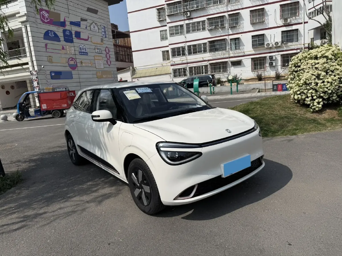 2025 DongFeng eπ 01 BEV 31.45KWH,autocango,china used car exporter,china ev exporter,chinese used car exporter,chinese used ev exporter