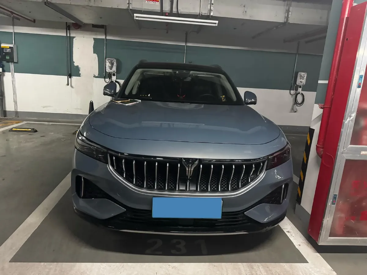 2021 Voyah FREE Range Extended 109HP REEV 33KWH,autocango,china used car exporter,china ev exporter,chinese used car exporter,chinese used ev exporter