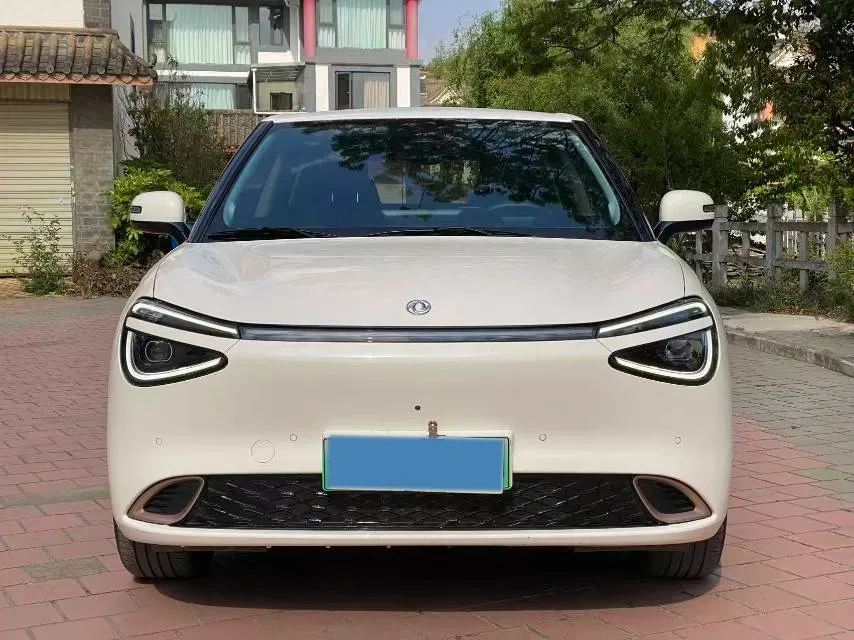 2024 DongFeng eπ 01 BEV 42.3KWH,autocango,china used car exporter,china ev exporter,chinese used car exporter,chinese used ev exporter