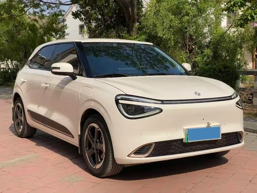 2024 DongFeng eπ 01 BEV 42.3KWH,autocango,china used car exporter,china ev exporter,chinese used car exporter,chinese used ev exporter