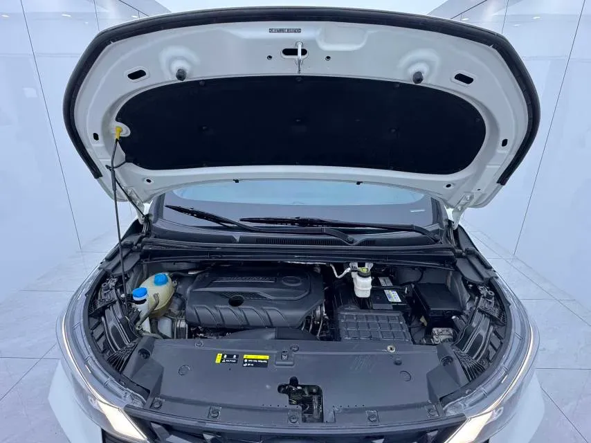 2021 GAC Trumpchi M6 1.5T 169HP L4 7DCT,autocango,china used car exporter,china ev exporter,chinese used car exporter,chinese used ev exporter