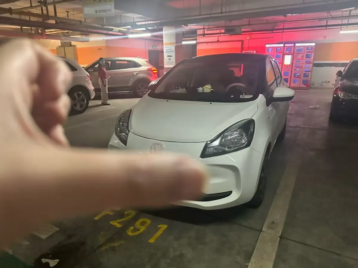 2021 ChangAn BenBen E-Star BEV 32.2KWH,autocango,china used car exporter,china ev exporter,chinese used car exporter,chinese used ev exporter