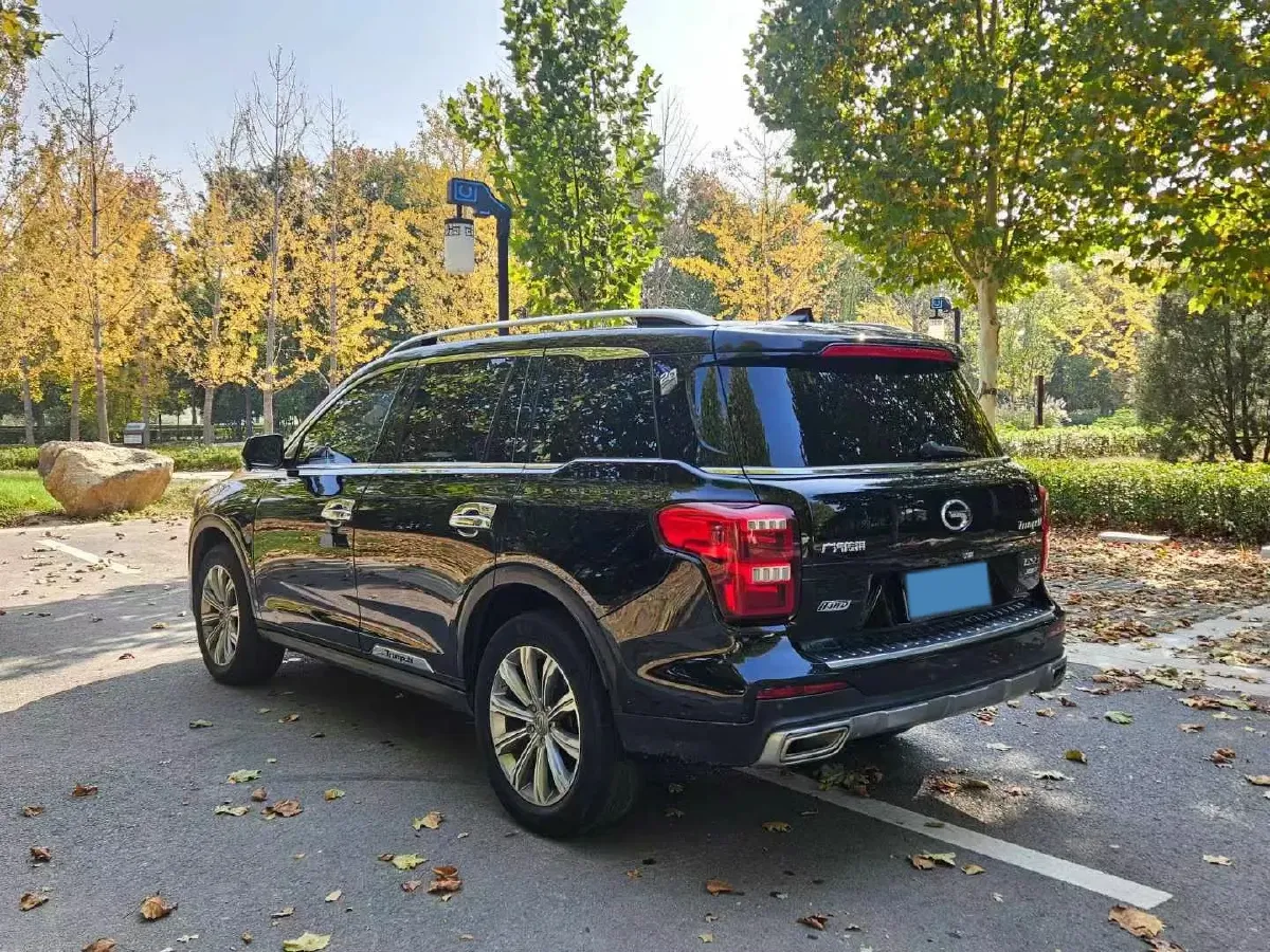 2020 GAC Trumpchi GS8 2.0T 252HP L4 6AT,autocango,china used car exporter,china ev exporter,chinese used car exporter,chinese used ev exporter