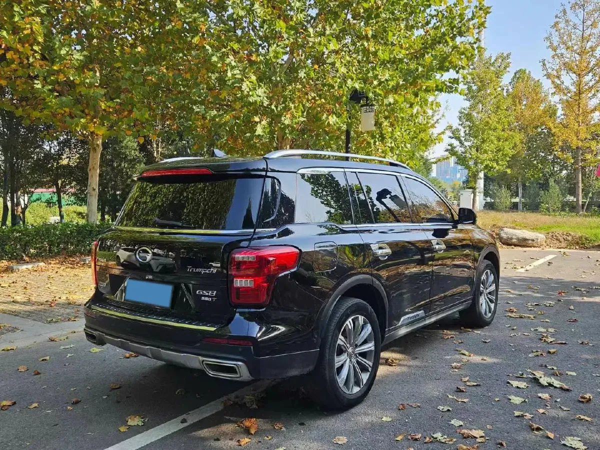 2020 GAC Trumpchi GS8 2.0T 252HP L4 6AT,autocango,china used car exporter,china ev exporter,chinese used car exporter,chinese used ev exporter
