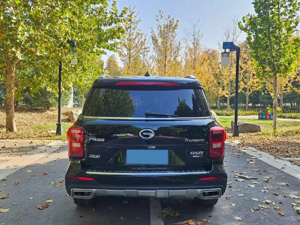 2020 GAC Trumpchi GS8 2.0T 252HP L4 6AT,autocango,china used car exporter,china ev exporter,chinese used car exporter,chinese used ev exporter