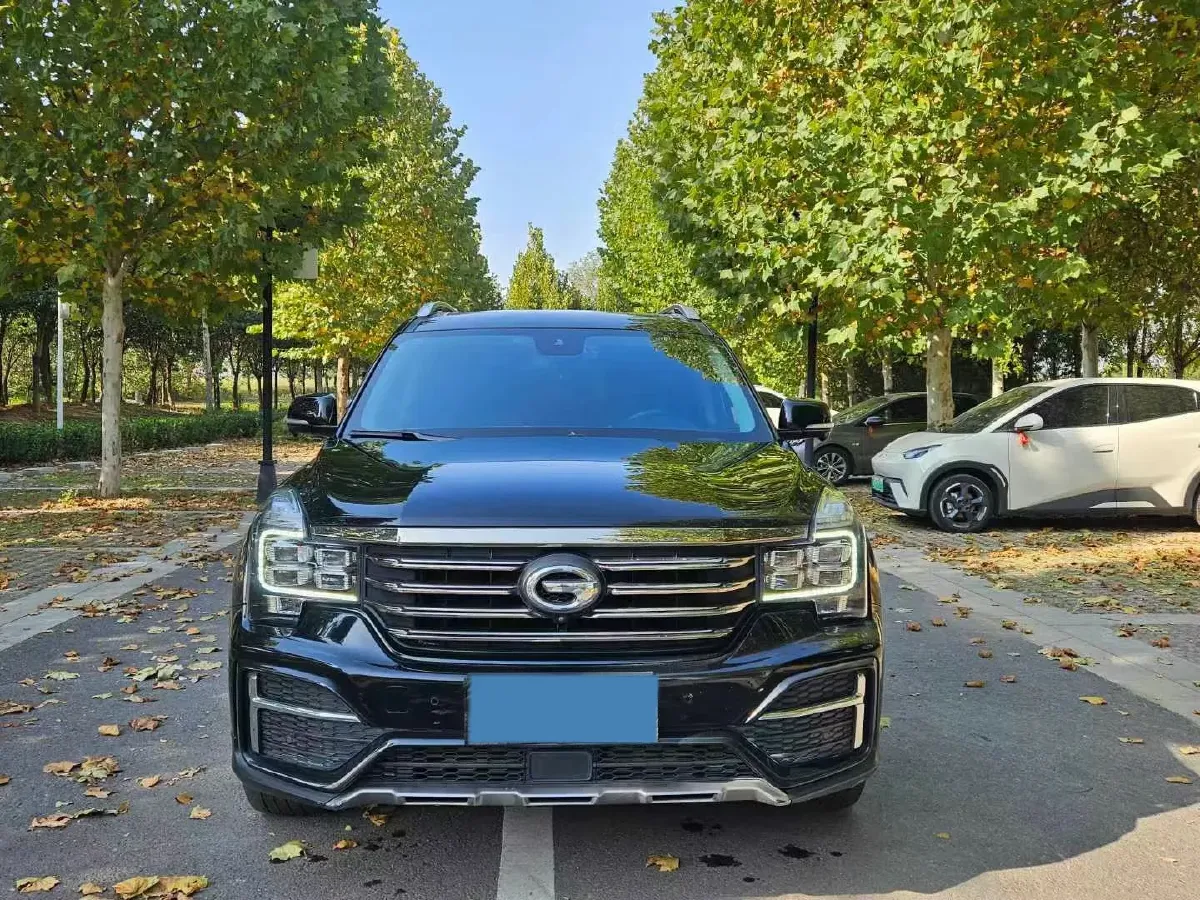 2020 GAC Trumpchi GS8 2.0T 252HP L4 6AT,autocango,china used car exporter,china ev exporter,chinese used car exporter,chinese used ev exporter