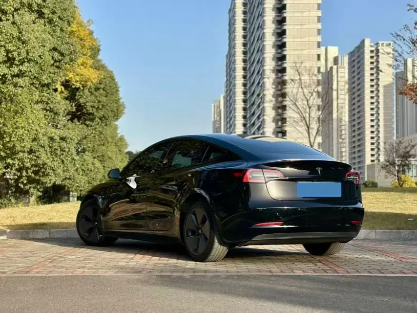2021 Tesla Model 3 BEV 55KWH,autocango,china used car exporter,china ev exporter,chinese used car exporter,chinese used ev exporter