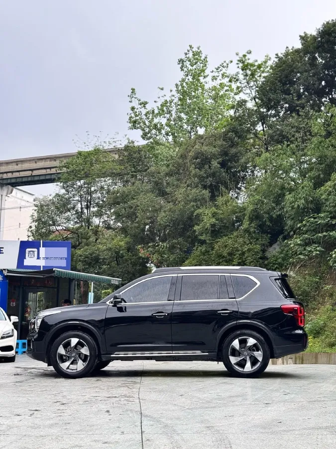 2020 GAC Trumpchi GS8 2.0T 252HP L4 6AT,autocango,china used car exporter,china ev exporter,chinese used car exporter,chinese used ev exporter