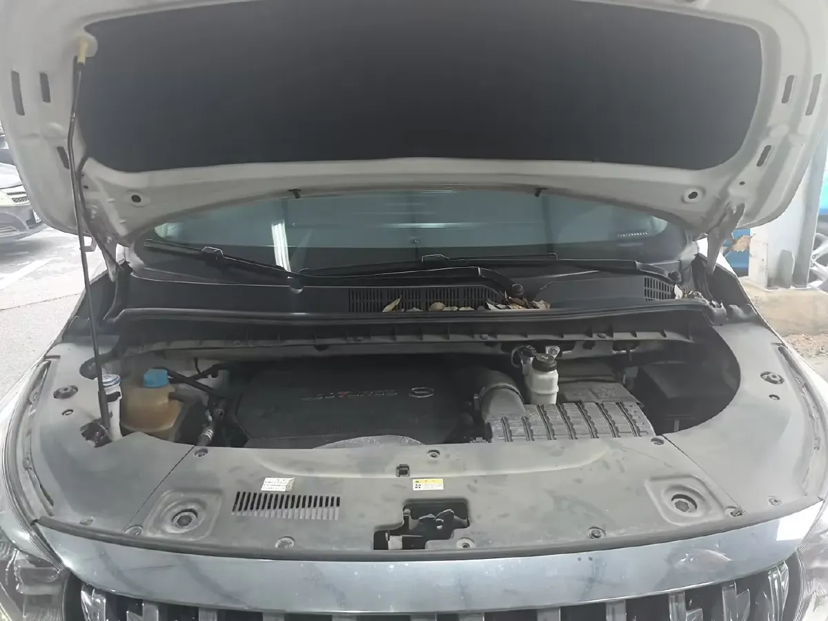 2021 GAC Trumpchi M8 2.0T 252HP L4 8AT,autocango,china used car exporter,china ev exporter,chinese used car exporter,chinese used ev exporter