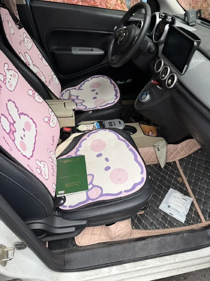 2021 Ora BlackCat BEV 33KWH,autocango,china used car exporter,china ev exporter,chinese used car exporter,chinese used ev exporter