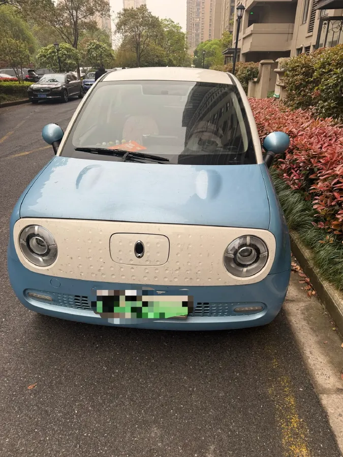 2021 Ora BlackCat BEV 33KWH,autocango,china used car exporter,china ev exporter,chinese used car exporter,chinese used ev exporter