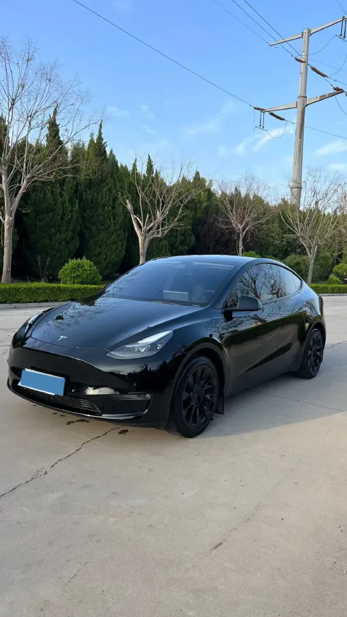 2021 Tesla Model Y BEV 60KWH,autocango,china used car exporter,china ev exporter,chinese used car exporter,chinese used ev exporter